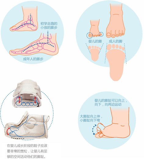 儿童足部发育过程图图片